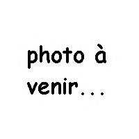Anne et caroline rassemblent les articles, les compte-rendus, etc, puis les mets en page pour le CX Mag